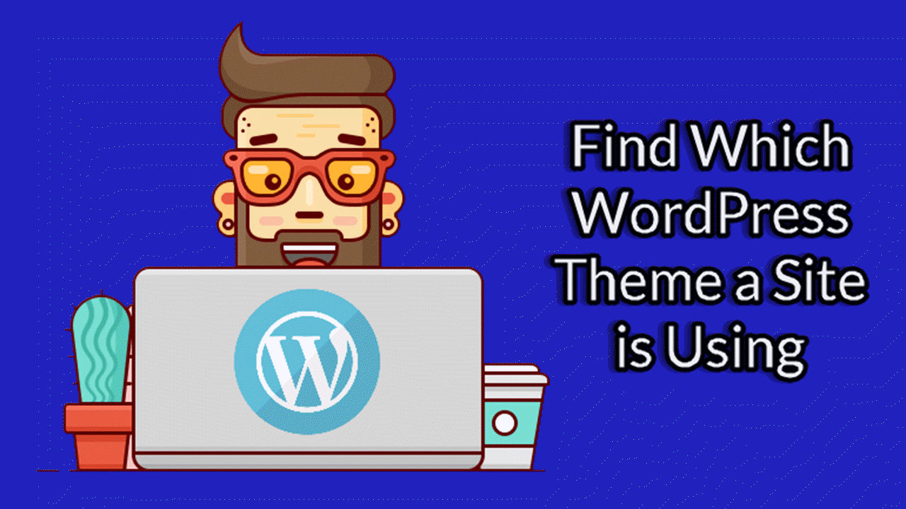 How to Find Which WordPress Theme a Site is Using