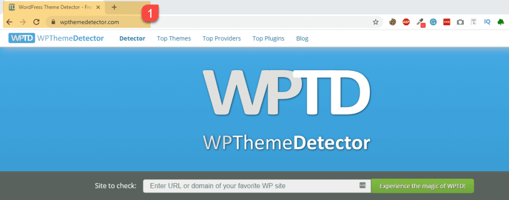 wpthemedetector