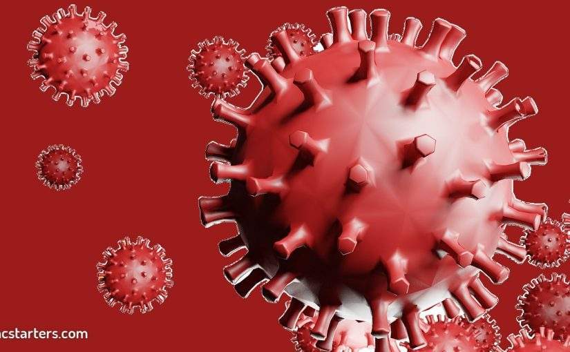 How to Display COVID 19 Live Statistics to WordPress Website