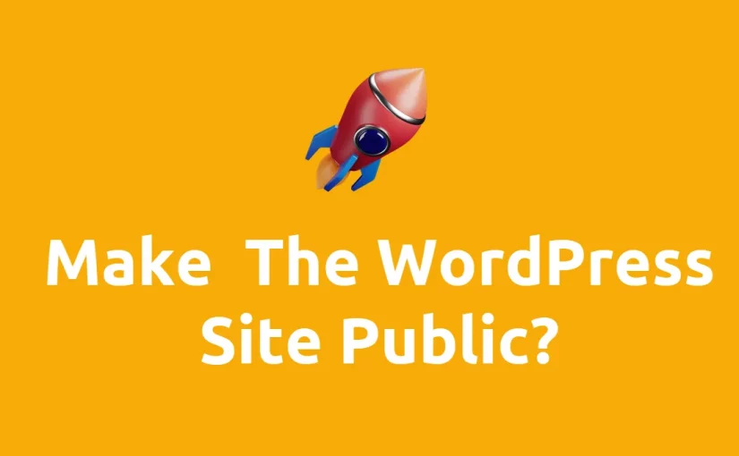 5 Best Way To Make The Wordpress Site Public Or Live