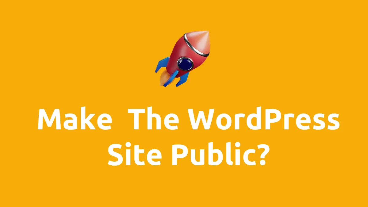 How to make  the WordPress site public?