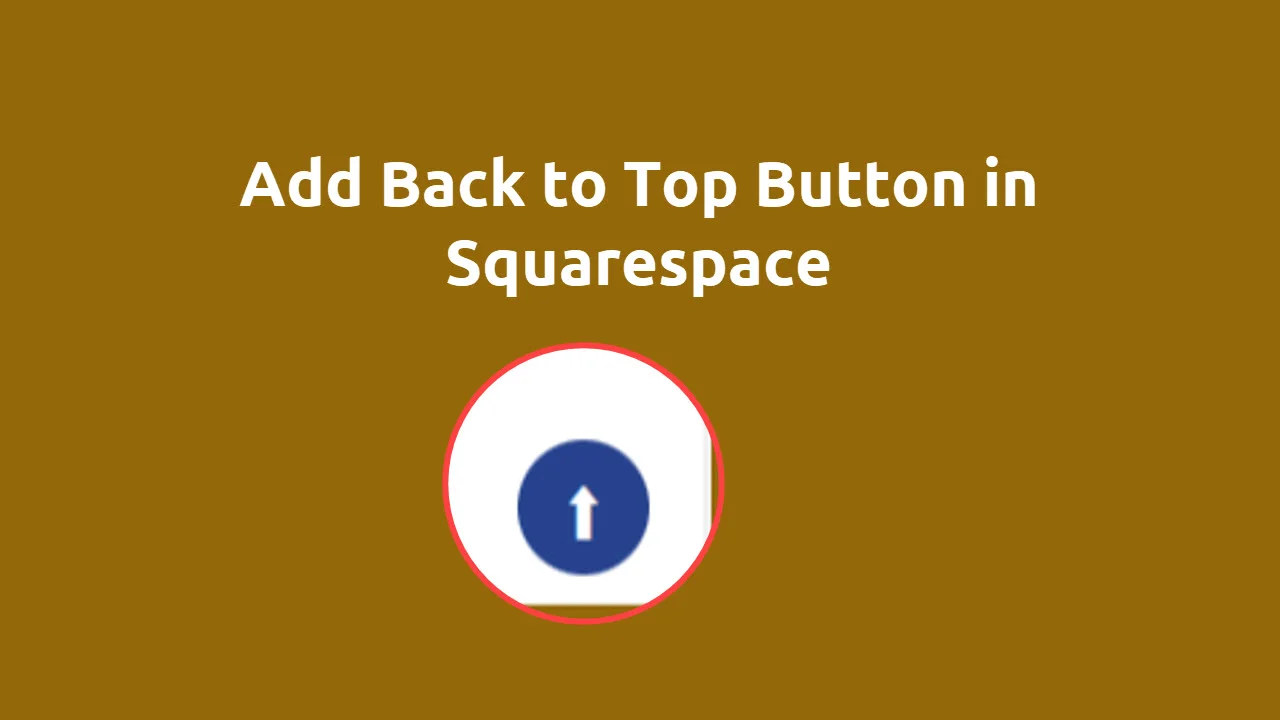 Sag indelukke barndom How To Add Back To Top Button In Squarespace In 4 Step