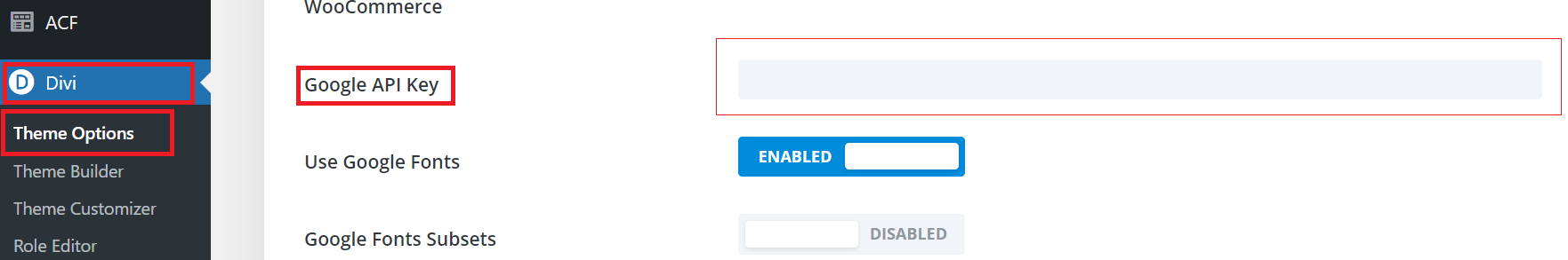 Add Google API Key in Divi