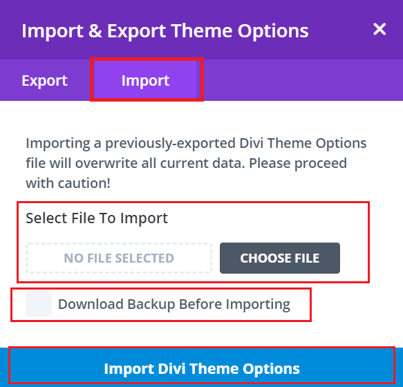Import Divi Theme Options in Divi