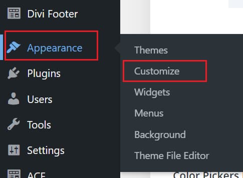 Using the Divi Theme Customizer