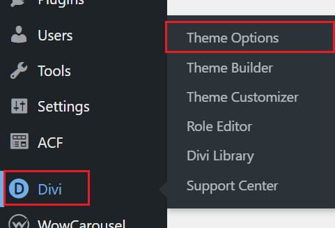 Using the Divi Theme Options