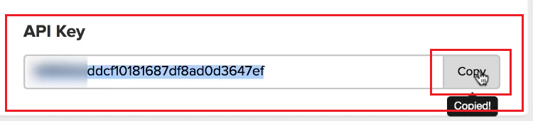 Copy the API key.