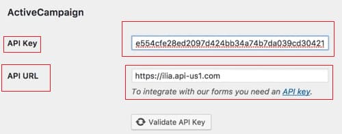 in ActiveCampaign Paste the API URL or API key