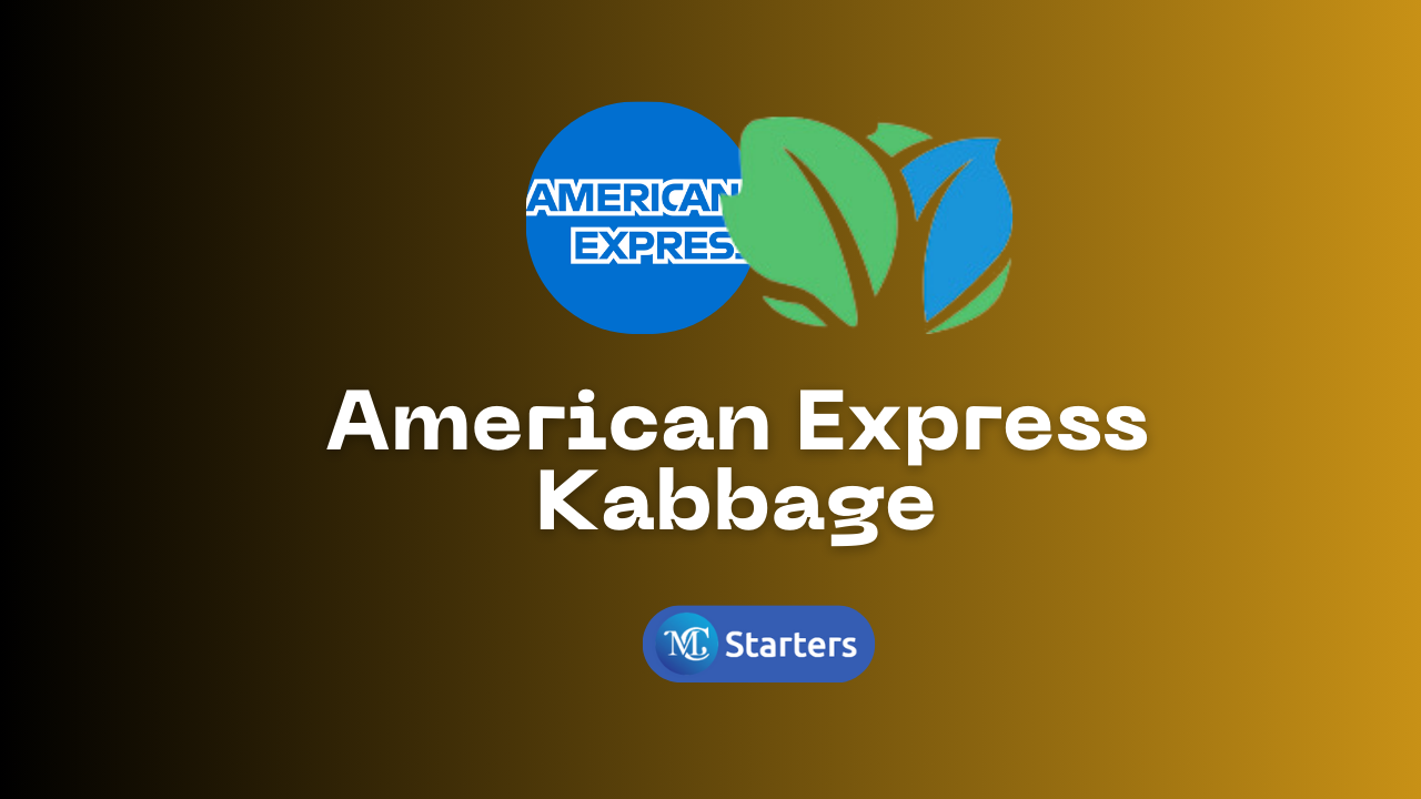 Kabbage Funding™ from American Express for Small Businesses