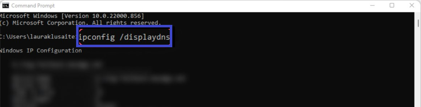 Type ipconfig displaydns in the Command prompt