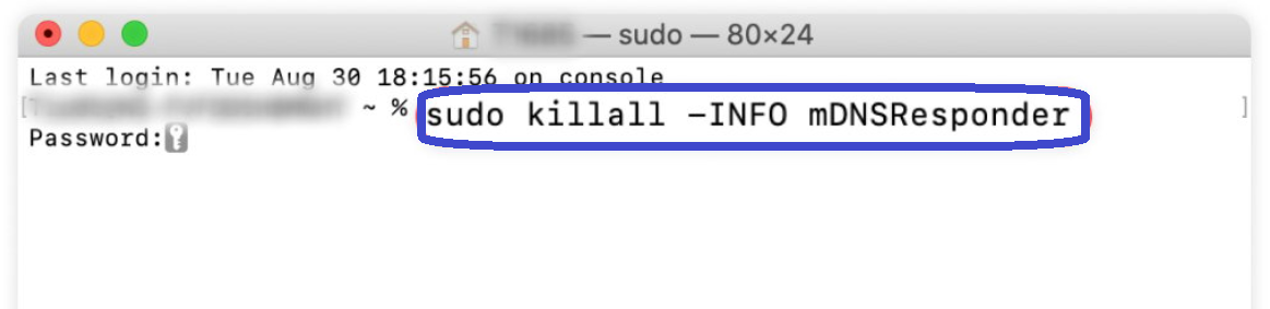 Type the command “sudo killall -INFO mDNSResponder” into the terminal
