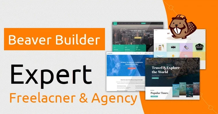 beaver-builder-Expert-Freelancer-and-Agency