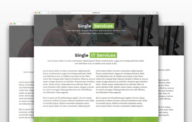 V1 Single Services Business Elementor Templates