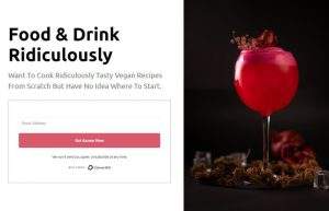 Squeeze Landing Page V5
