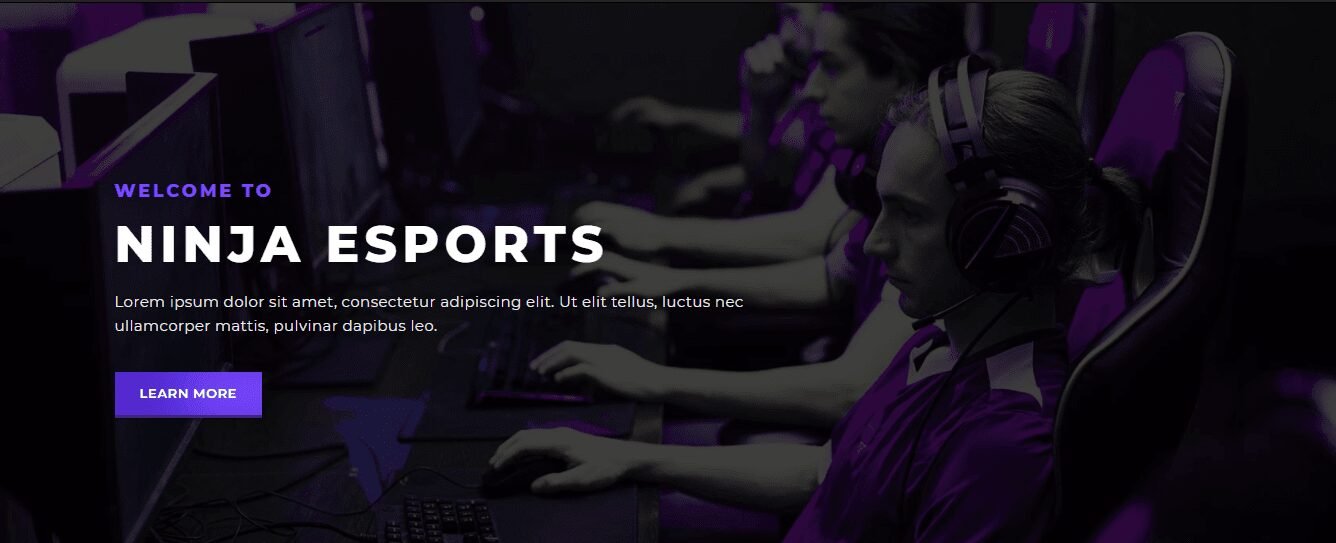 Best Elementor Template Kits For WordPress Website (Free + Pro) 2024 14 13-Esportize-–-eSports-Elementor-Template-Kit-min