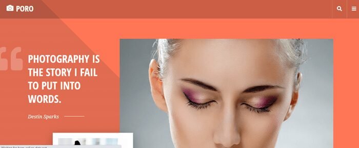 Best Elementor Template Kits For WordPress Website (Free + Pro) 2024 17 16-Poro-–-Photography-Website-Template-Kit-min