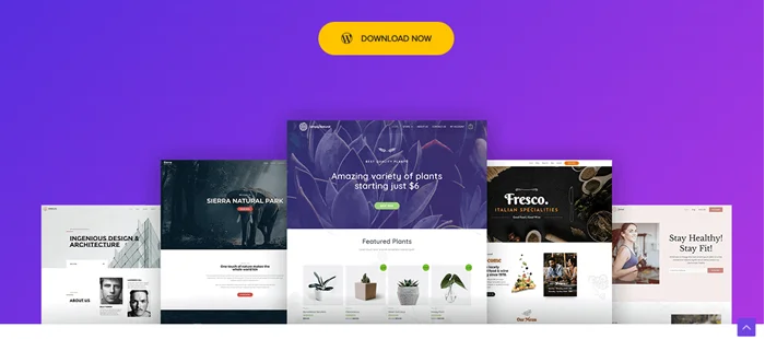6 Best Free WordPress Themes For Elementor 2 Astra