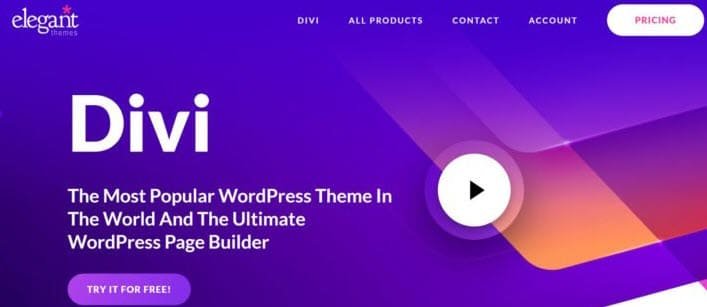 8 Best Page Builder For WordPress 4 Divi-WordPress-Theme