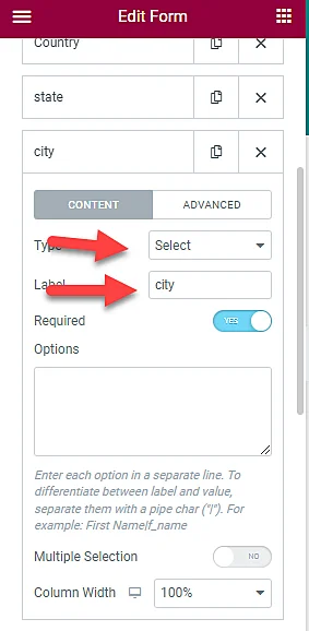 How to add Countries, States, and Cities on Elementor forms? 7 City field