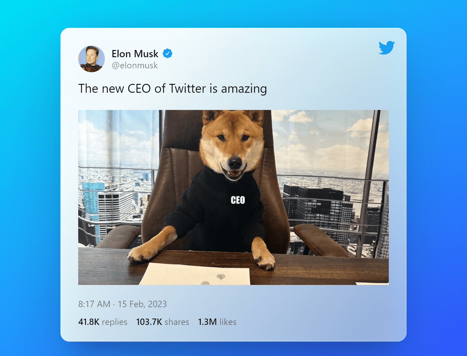 Why Did Elon Musk Change the Twitter Logo