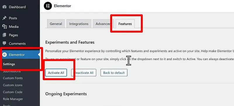 Activate all Elementor new features 2