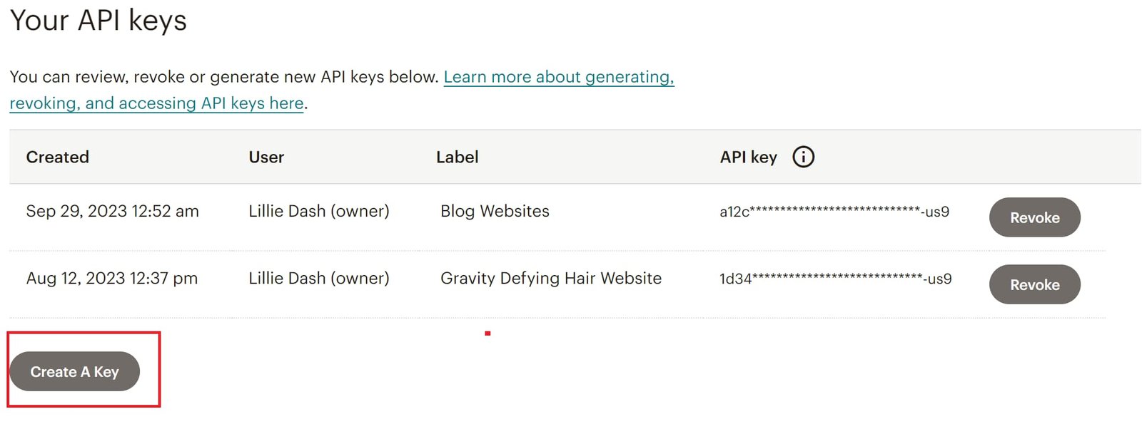 How To Integrate Elementor and Mailchimp (in 5 Steps) 3 Click on Create A Key