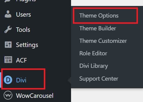 How to enable Divi Built-In Performance Optimization Features 1 Divi Built-In Performance Optimization