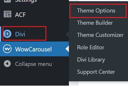 How to Add A Custom Logo Image In Divi 1 add a custom logo image in Divi