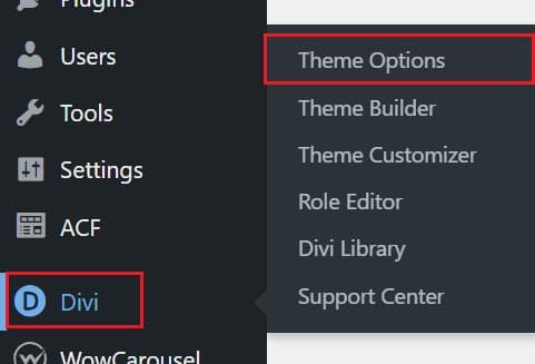 3 ways to Add Custom CSS to Divi 3 Using the Divi Theme Options