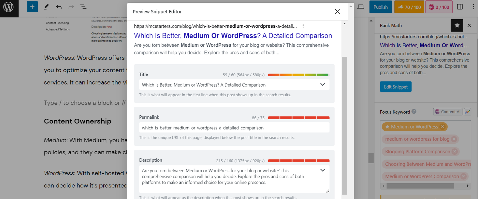 SEO setting in WordPress