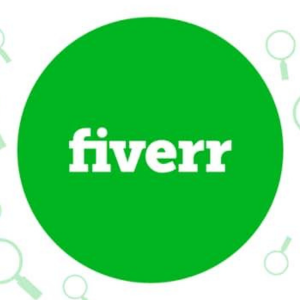Fiverr Freelancer