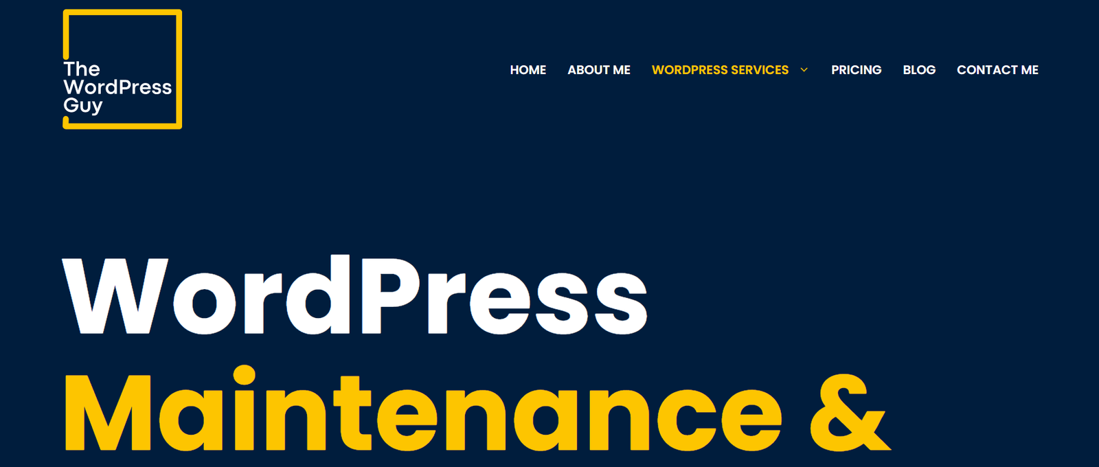 The WP Guy – Best for UK-Based Businesses