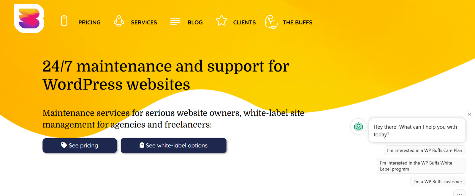 Top 10 WordPress Support and Maintenance Services to Keep Your Site Secure 2 WP Buffs