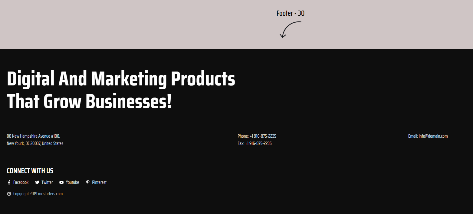 Elementor Footer 30